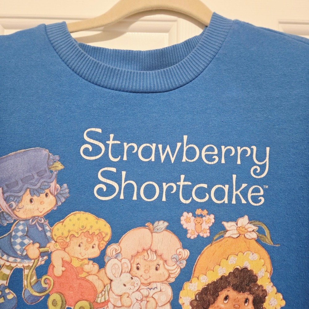 Strawberry Shortcake Graphic Sweatshirt Blue Crew Neck Sleeve Print MD - Picture 1 of 6